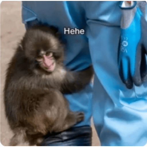 Punch monito bbsito🥰❤️💖🙈🍌 3