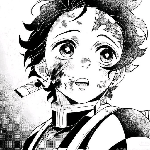 Tanjiro Kamado Manga ! ᰔ ִ ׄ 10