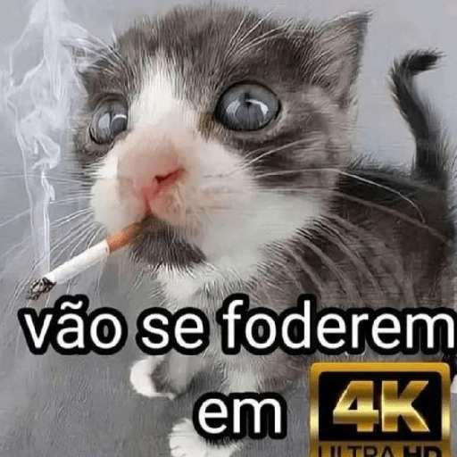 Memes / @ive_stickers  10