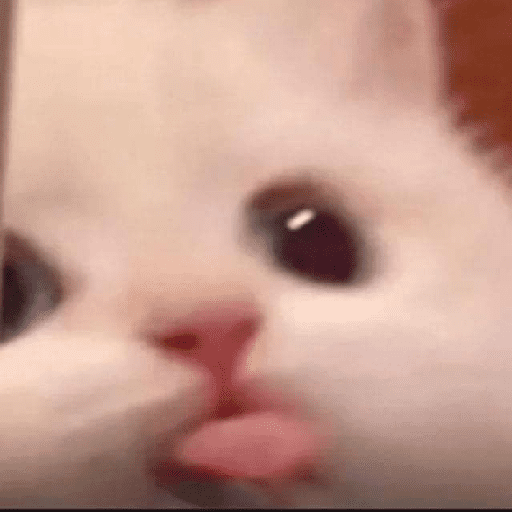 ᕬ >_< ᕬ 23