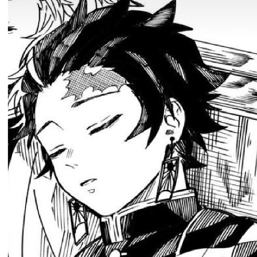 Tanjiro Kamado Manga ! ᰔ ִ ׄ 18