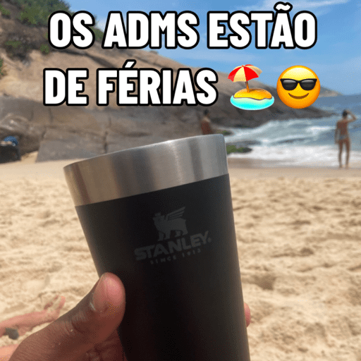 Divertidamente 29