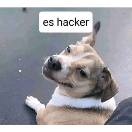 Es hacker  2