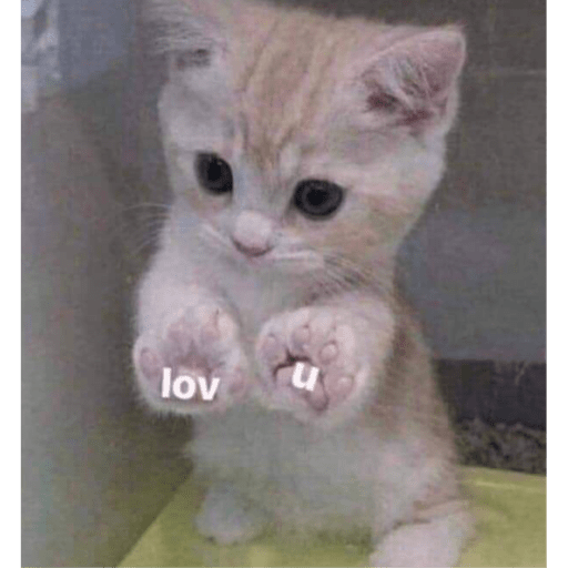 Memes pets 14