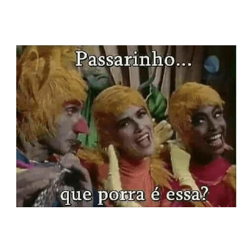 Memes e frases 13