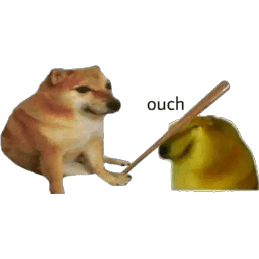 Perritos 23