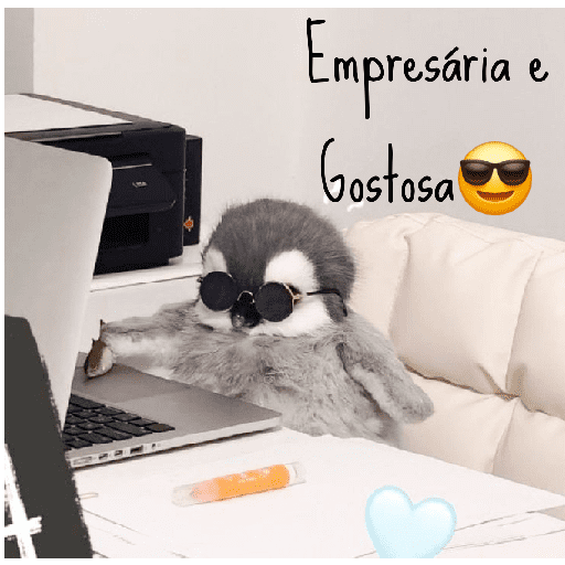 Memes Pinguins  3