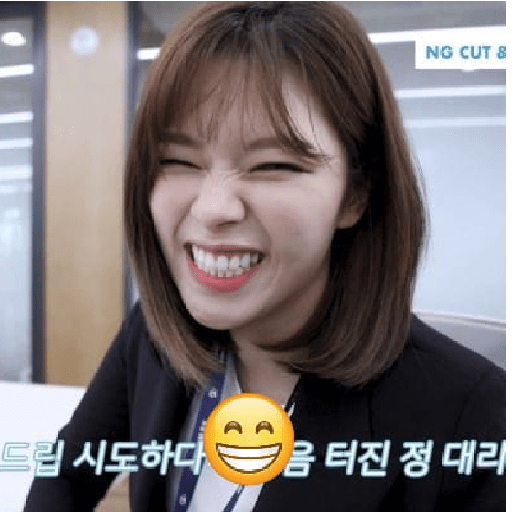 Twice Emojis  29