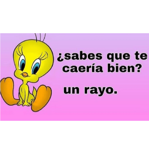 Ramdon 24