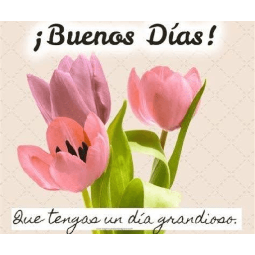 Buenos dias  12