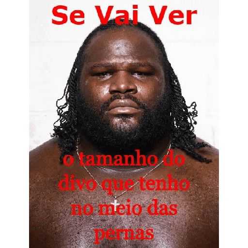 Receba inteligência 11