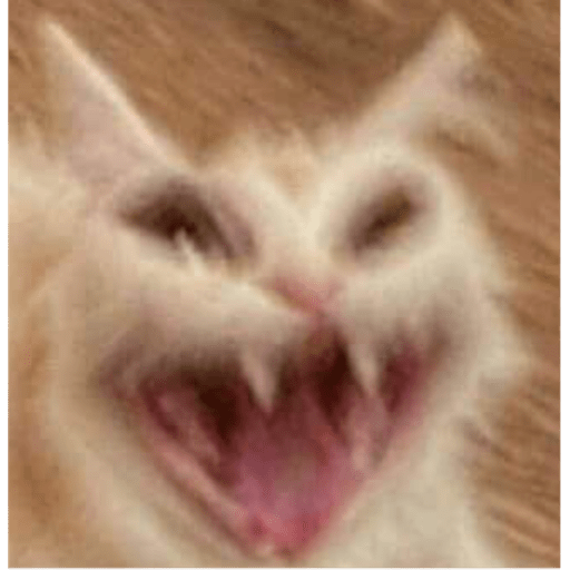 Memes pets 5