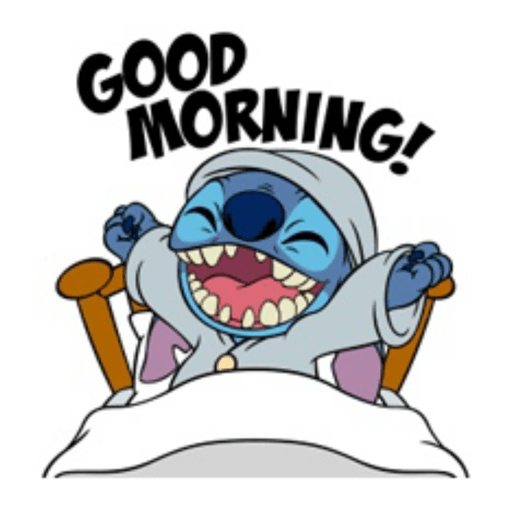 Stitch 8