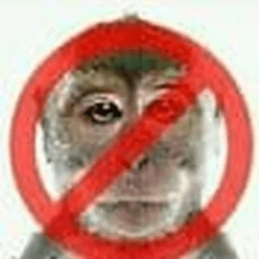 Lo que necesitas 😈😎 9