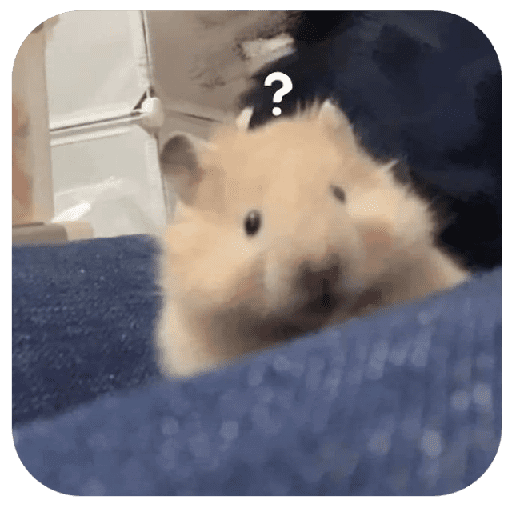Hammy 2