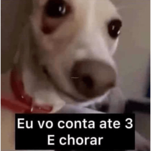 Novidades da semana 12