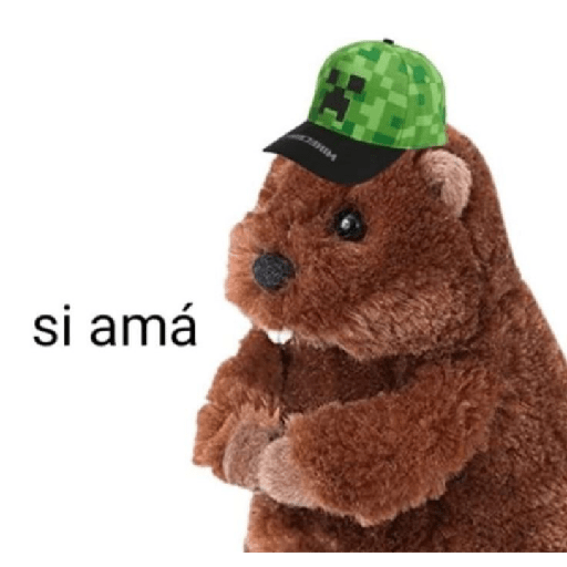 Ramdon 10