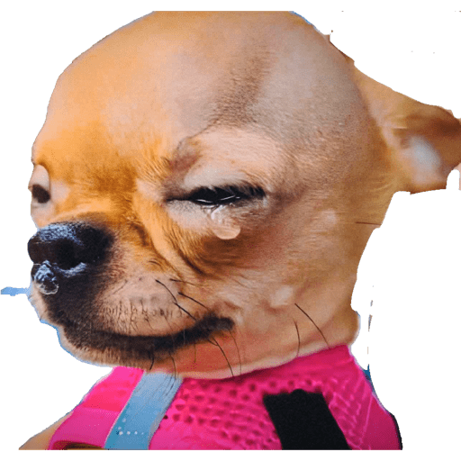 Perritos 4 9