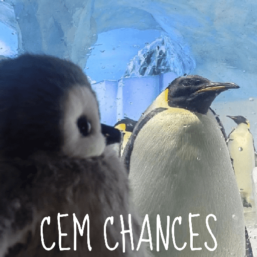 Memes Pinguins  5