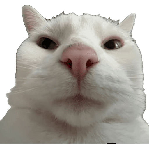 Miauu 25