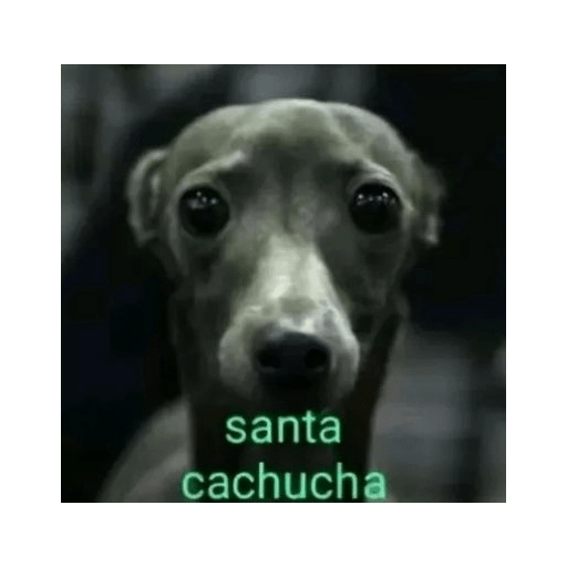 ñoche 10