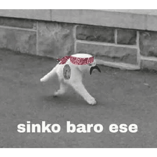 Tiktok Viral 👌🏻 14