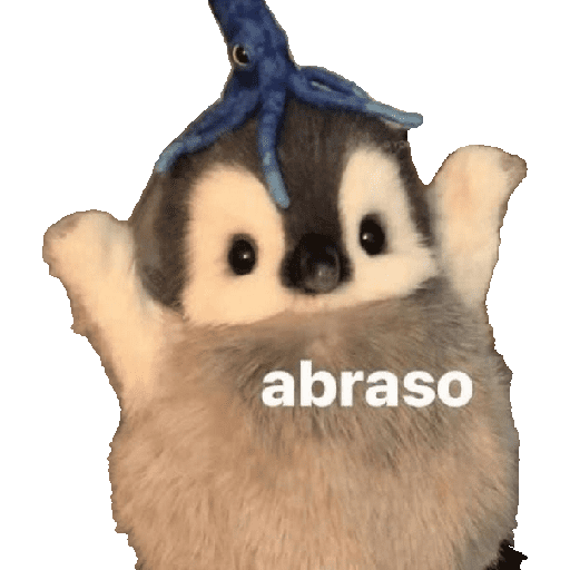 Memes Pinguins  14