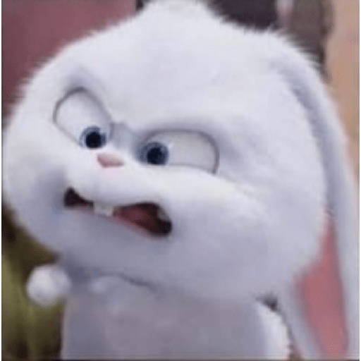 Xdxd 13