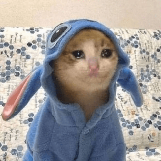 Kucing sad 8