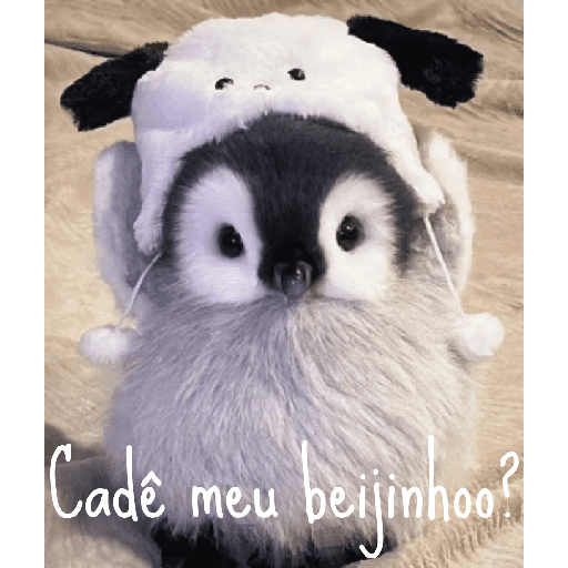 Memes Pinguins  11