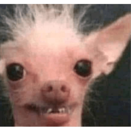 Memes pets 4