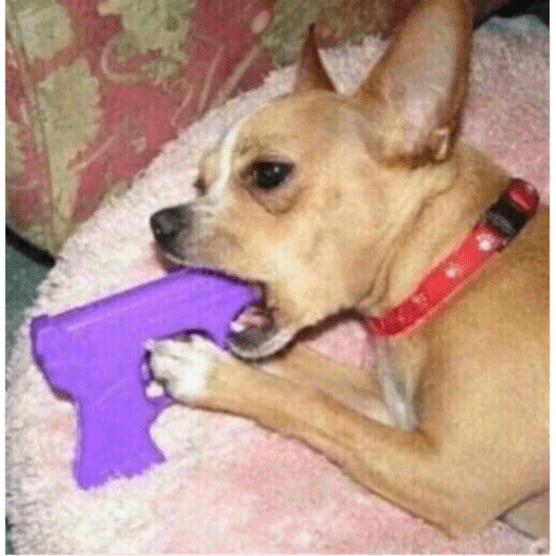 Memes pets 6