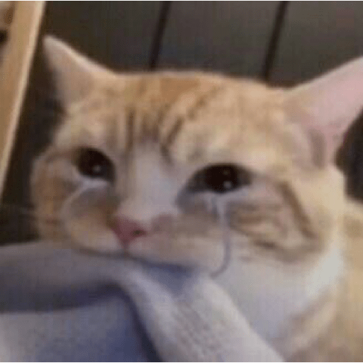 Kucing sad 12