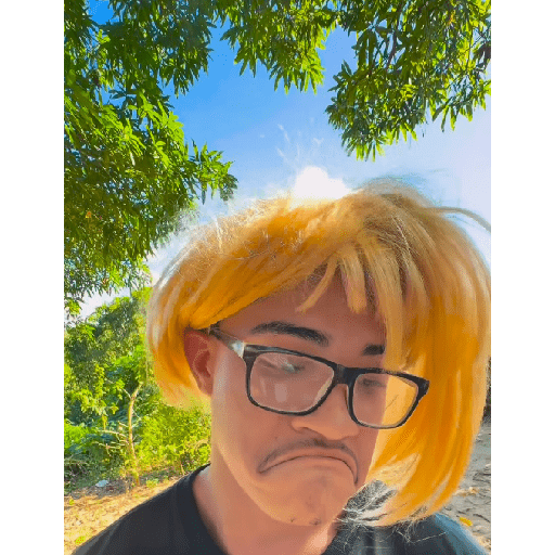 Aleatório  4