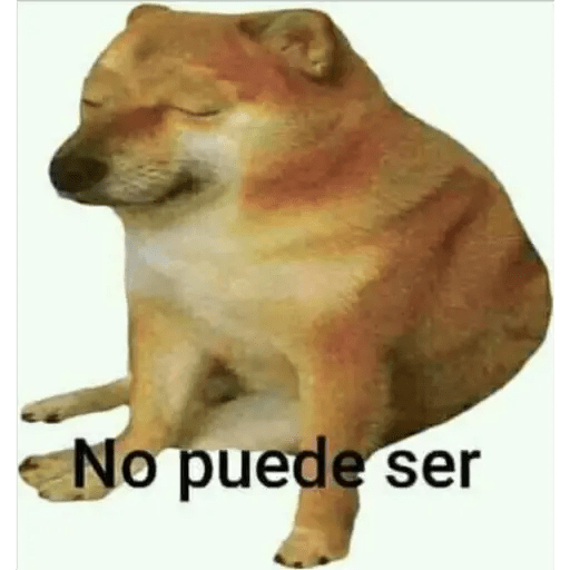 Perritos 22