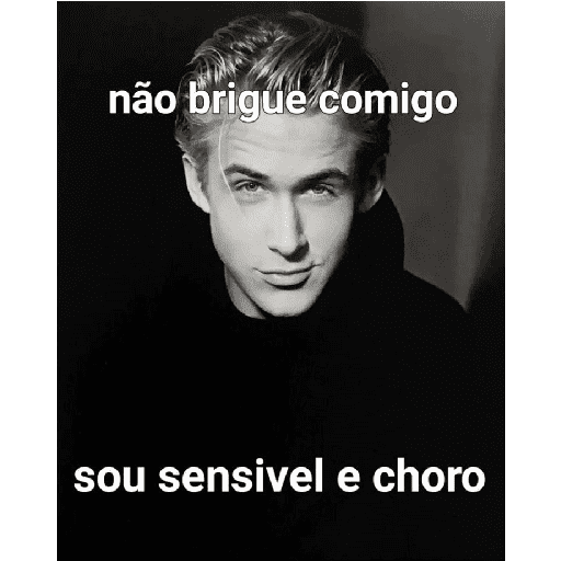 Memes e frases 21