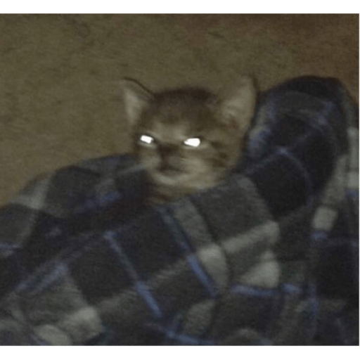 Memes pets 12