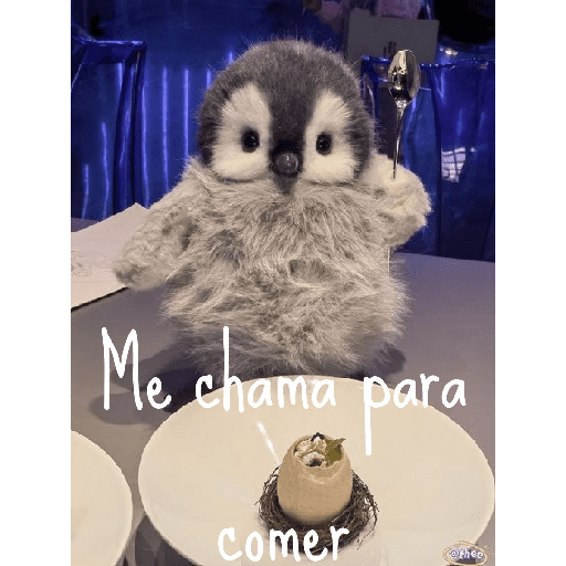 Memes Pinguins  6