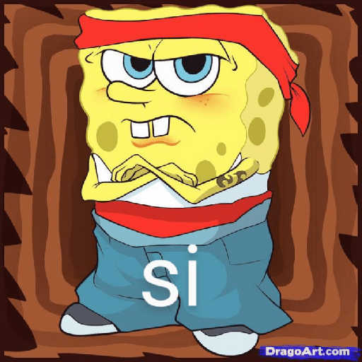 Bob cholo 🤪🤙🏿 6