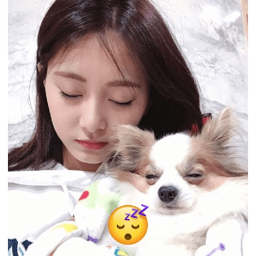 Twice Emojis  23