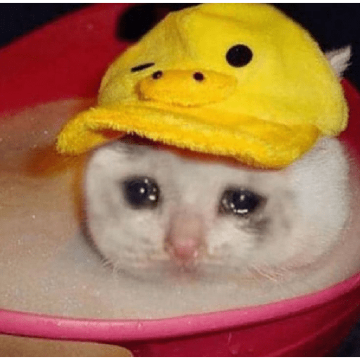 Kucing sad 13