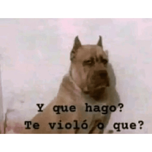 Momos Rancios 26