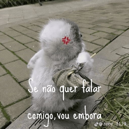 Memes Pinguins  4