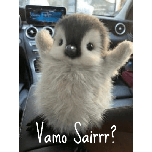 Memes Pinguins  12