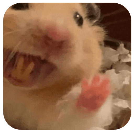 Hammy 5