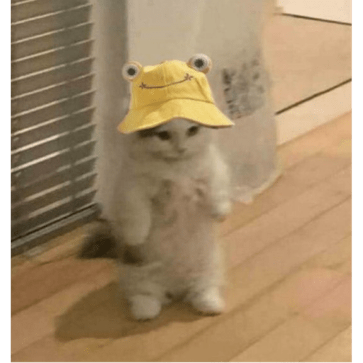 Memes pets 13