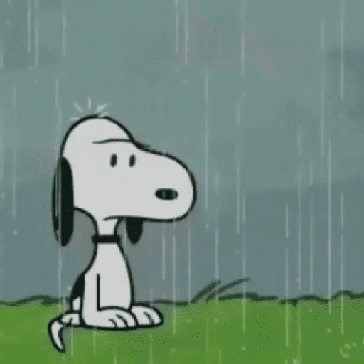Snoopy 30