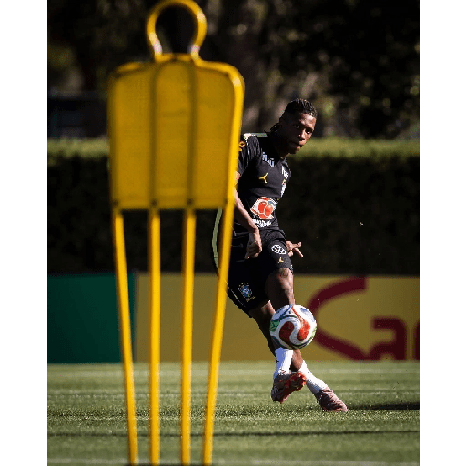 Brasil 🇧🇷 Treino 💪 17