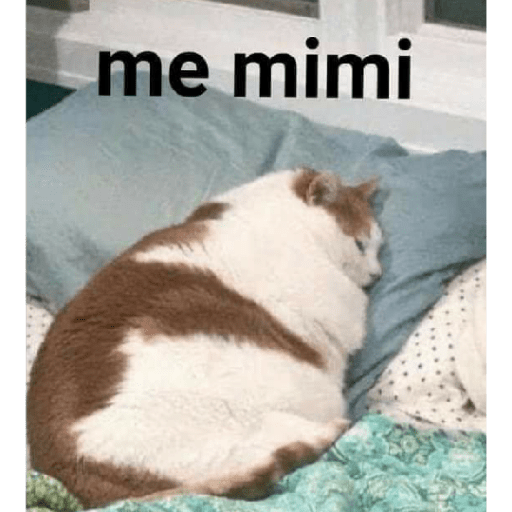 Xdd 21