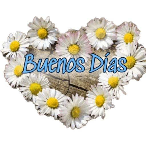 Buenos dias  10